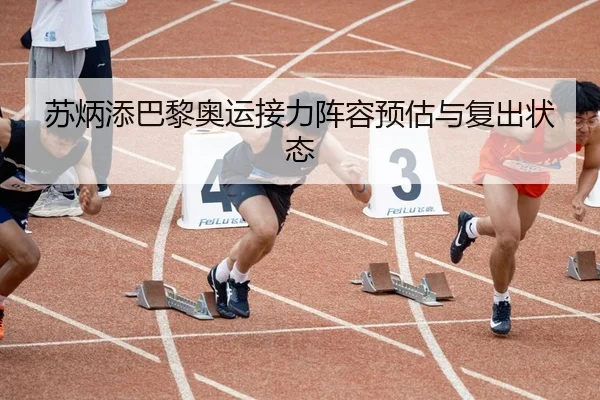 苏炳添巴黎奥运接力阵容预估与复出状态