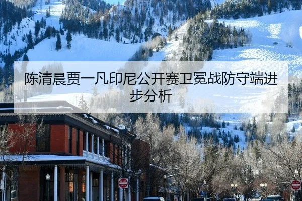 陈清晨贾一凡印尼公开赛卫冕战防守端进步分析
