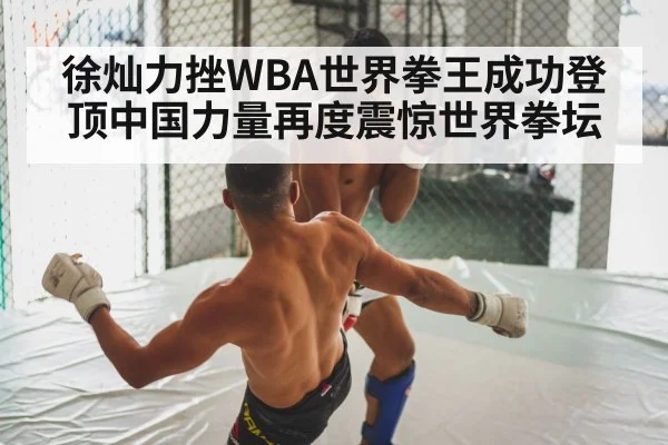 boxing fight